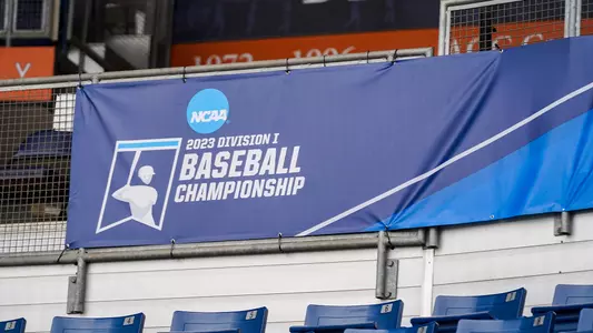 baseball - super banner