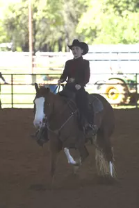 Nicole Barnes will compete in the reining competition
