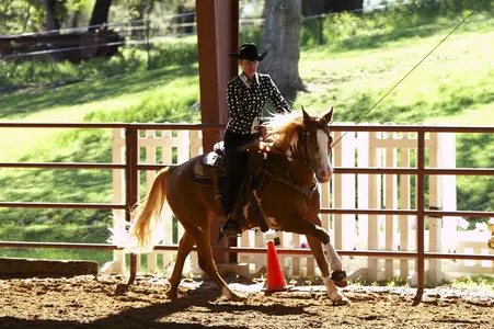 Carrie von Uhlit competed Saturday at the NRHA Derby.