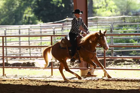 Carrie von Uhlit was nominated to the NRHA derby in May