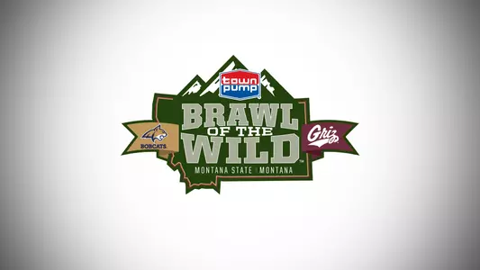 2017 Brawl of the Wild