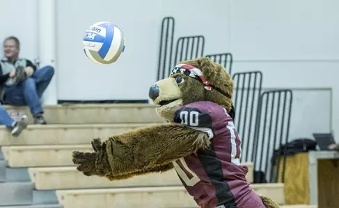 Monte volleyball