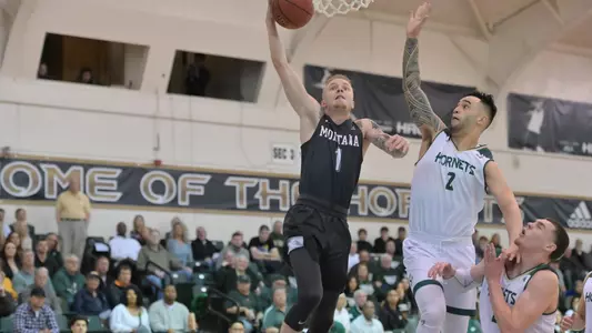 Timmy Falls at Sacramento State