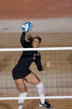 Stefani Eddins was selected honorable mention All-East Region by the AVCA