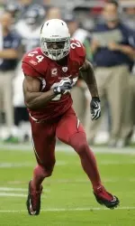 Adrian Wilson made the Pro Bowl last season.