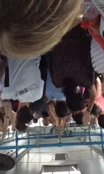 On the crowded bus from the terminal to the plane.