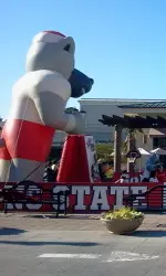 NC State athletics will be well represented this Saturday at Packapalooza.