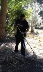 Community service on Lady's Island.