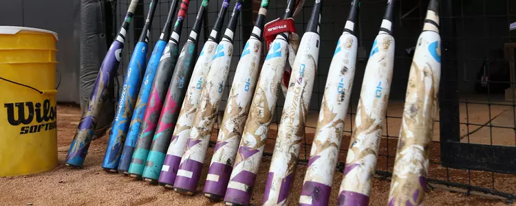 Bats FPP