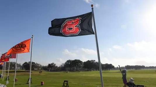 Golf Flag FPP