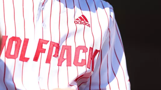 Pinstripe Jersey FPP