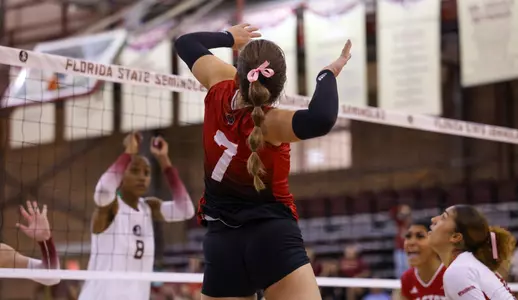 Brizard v FSU