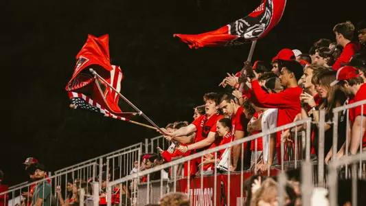 Soccer Crowd Shot