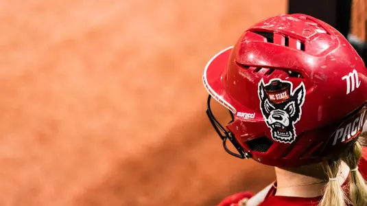 Softball batting helmet 