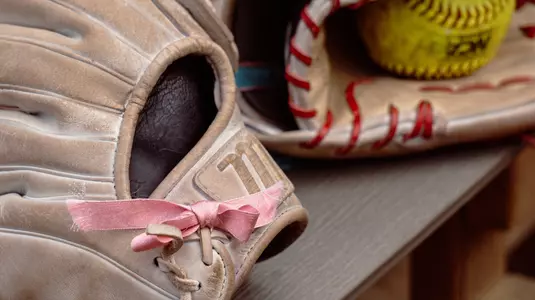 Softball Glove - April 2025