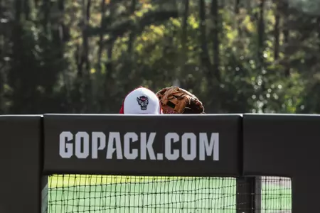 Baseball hat and glove