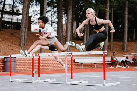 January Practice - Hurdles