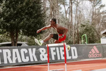 Rance Springs - Outdoor hurdles