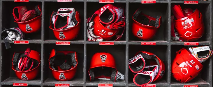 Batting Helmets