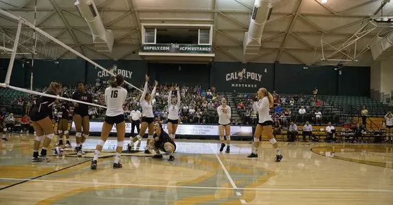 Mustang Volleyball Wins Sixth Consecutive Match Image