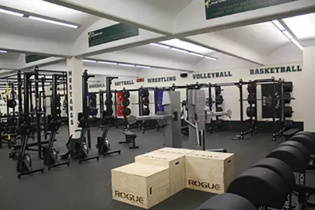 Mustang Strength Complex