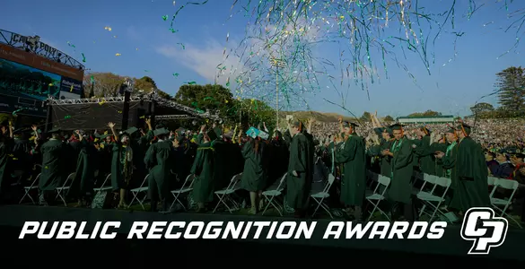 Graphic for Public Recognition story