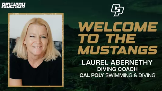 Laurel Abernethy Hiring Graphic