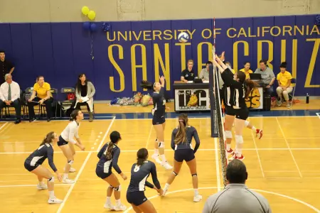 Claire Okerlund takes a swing during UCSC's home Finale against the Academy of Art
