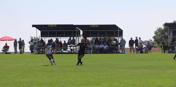 Scott chases the ball