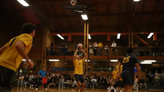 MVB Set