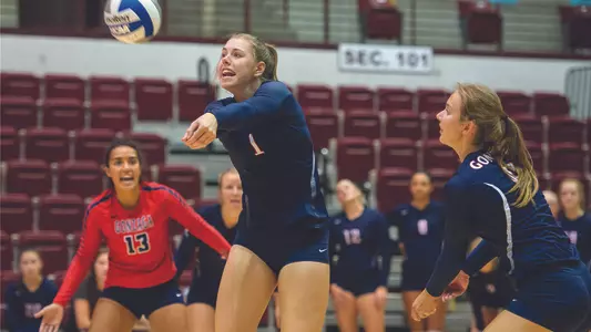 Sarah Penner Digging