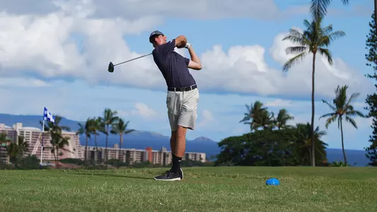 Ruel Hawaii