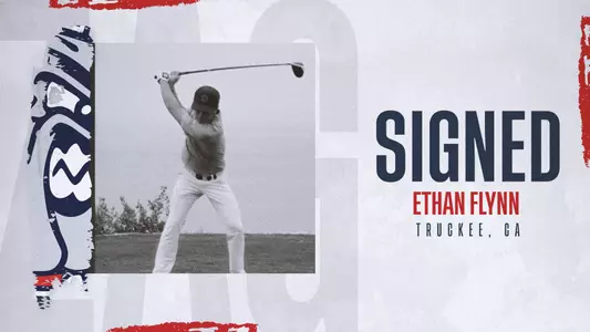 Flynn nli