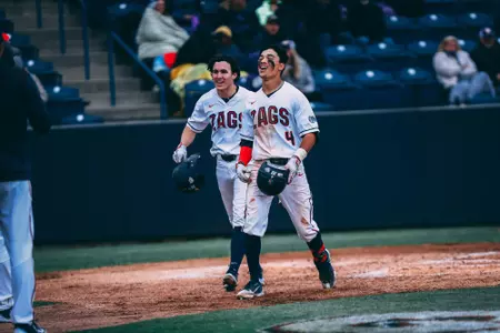 coballles homer