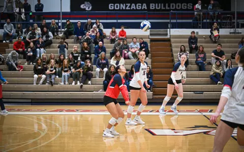 alisa kim dig 2023