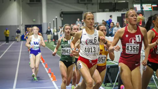 willow collins husky classic