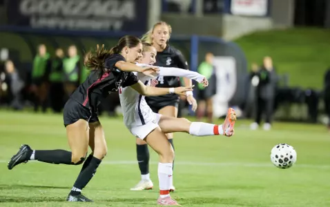santa clara goal