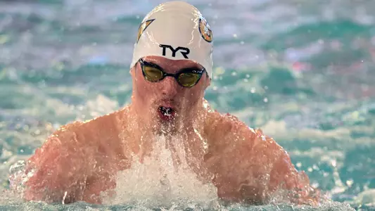 Men's swimming & diving at Long Bridge Park