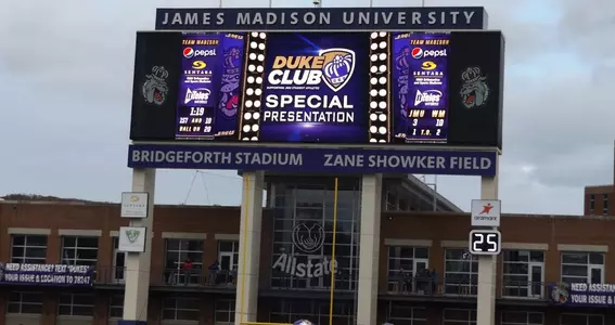 Videoboard