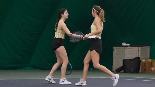 Voloh and Nikolopoulou