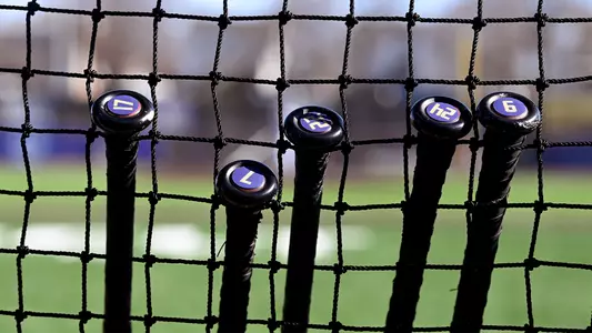 Bats