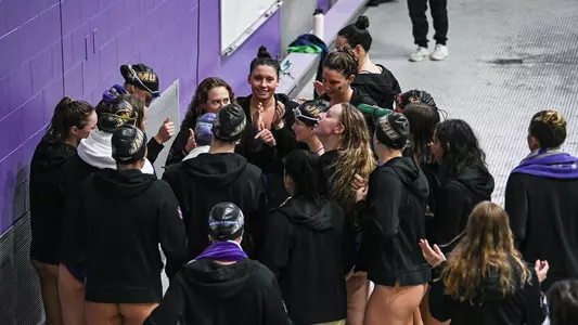 Swim & dive vs. Villanova