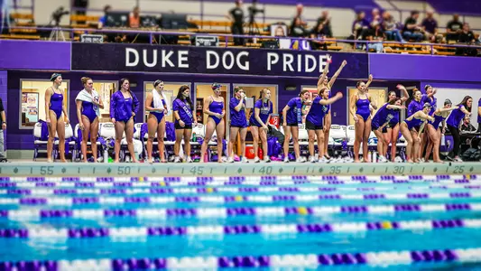 Swimming cheering during a dual meet