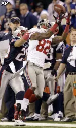 Mario Manningham