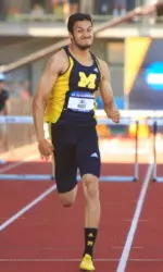 Ali Arastu