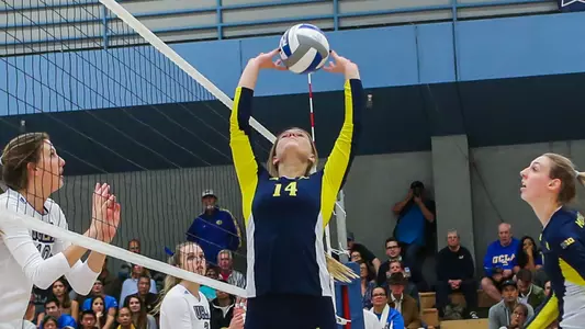 Maddy Abbott