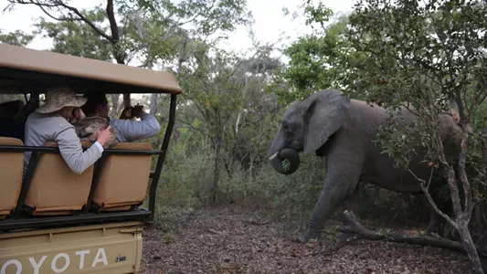 Football in South Africa Day 5