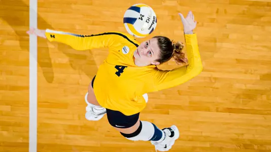 WVB- Scottee Johnson