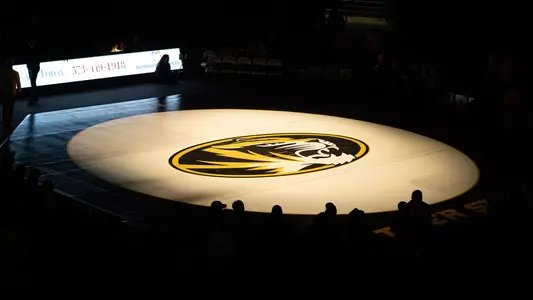Wrestling mat