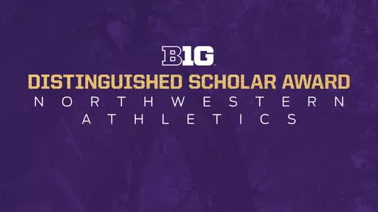 DISTINGUISHED SCHOLAR GRAPHIC